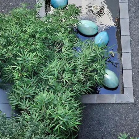 Urban Oasis With Free Parking Apartment *